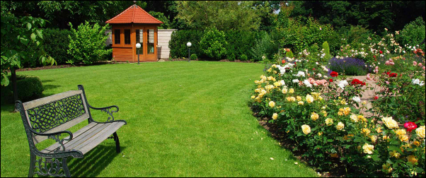 Pollice Verde: fiera di giardinaggio e orticoltura a Ferrara