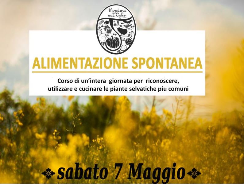 Alimentazione spontanea