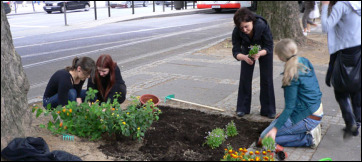 gardening