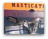 masticatore