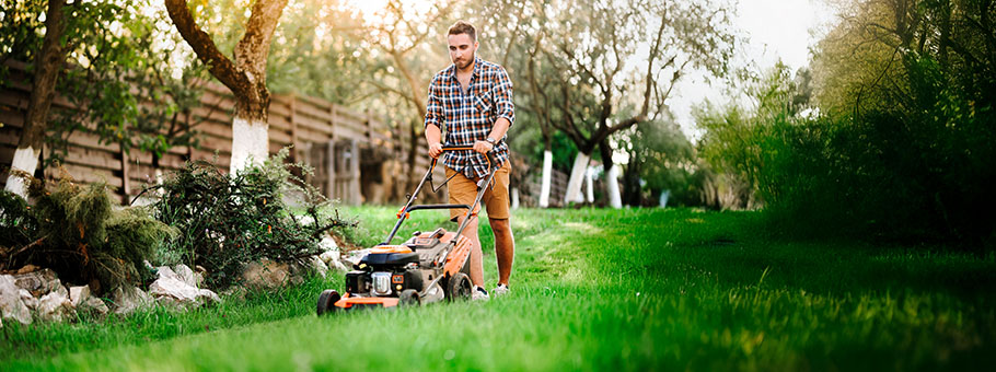 attrezzi-giardino-usati